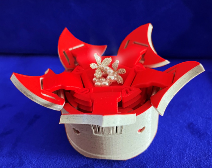 2023 - Surprice Heart Box
